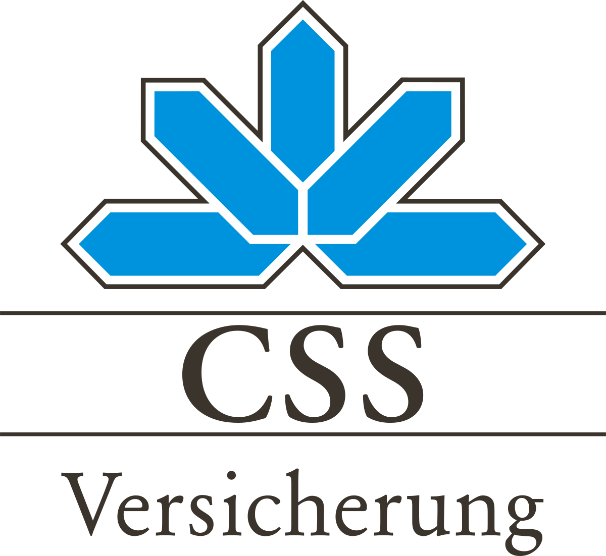 CSS Versicherung wie ist diese Versicherung aufgestellt und bewertet?