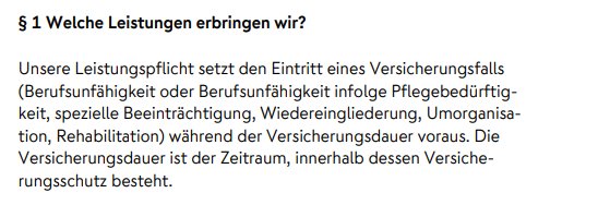 Leistungen der Nuerberger BU Leistungen der Nuerberger BU