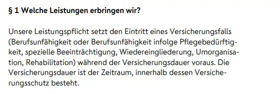 Leistungen der Nuerberger BU